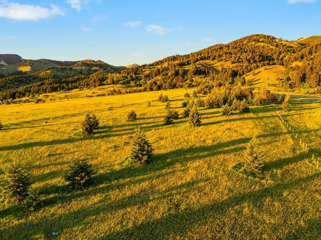 Tbd Sypes Canyon Spur Road Bozeman MT 59715