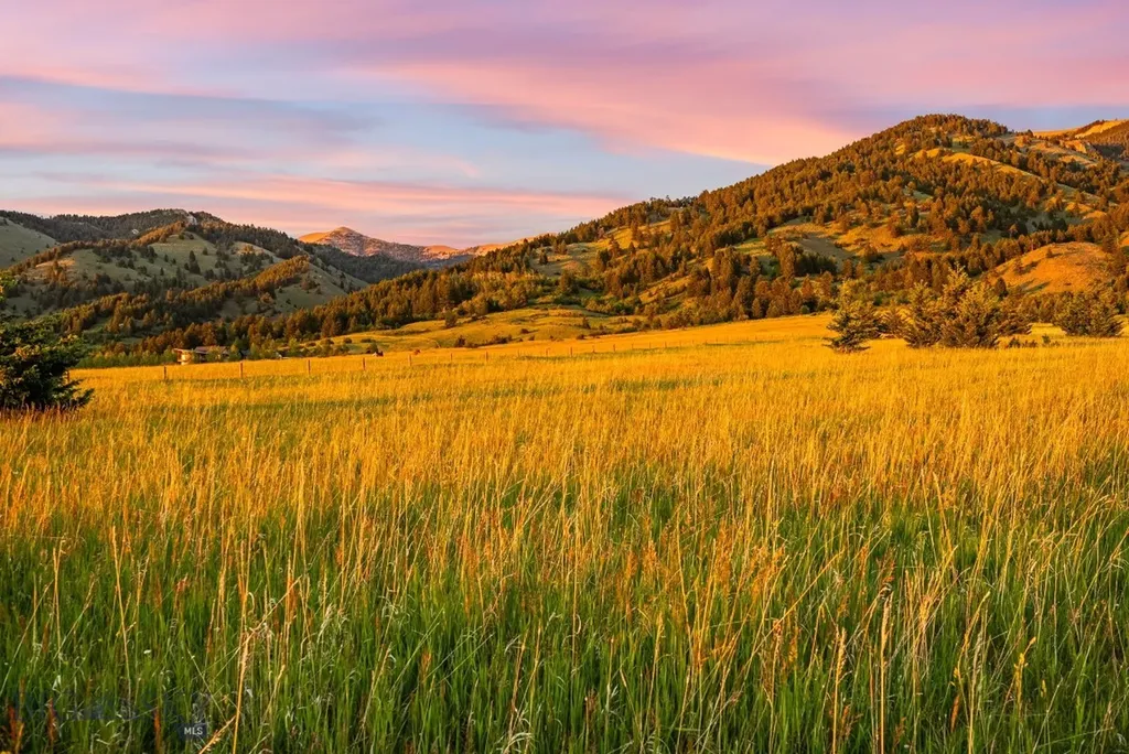 Tbd Sypes Canyon Spur Road Bozeman MT 59715