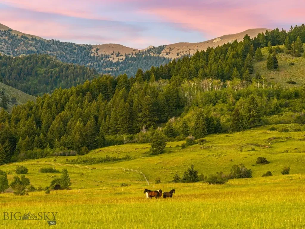 Tbd Sypes Canyon Spur Road Bozeman MT 59715