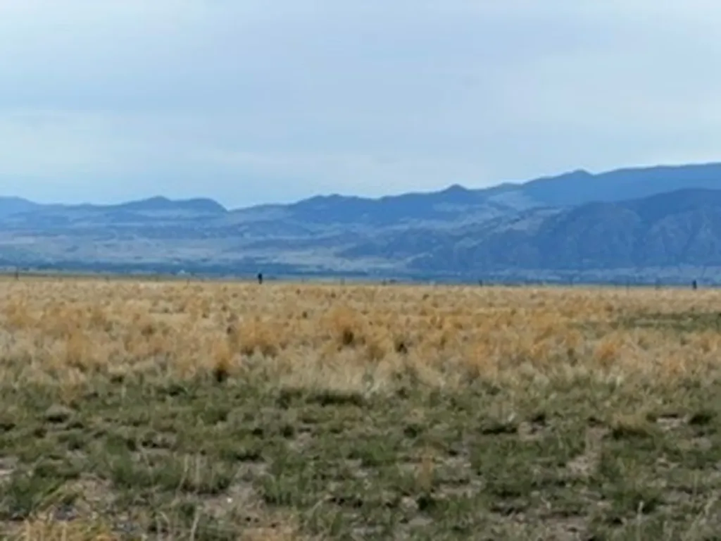 1 Sugarloaf Road Whitehall MT 59759