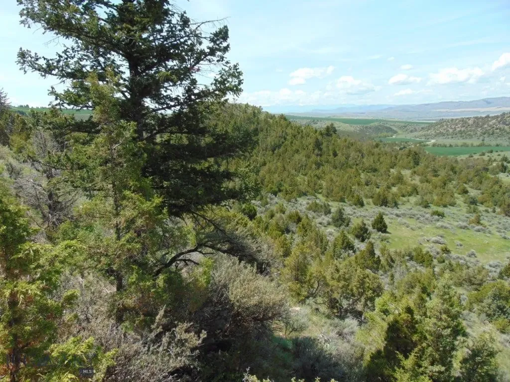 Tbd Lone Wolf Trail Three Forks MT 59752
