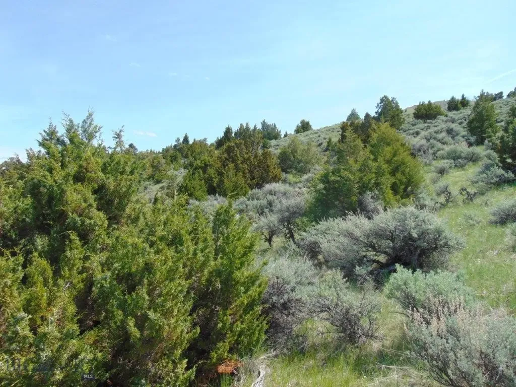 Tbd Lone Wolf Trail Three Forks MT 59752
