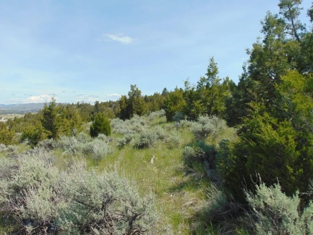 Tbd Lone Wolf Trail Three Forks MT 59752