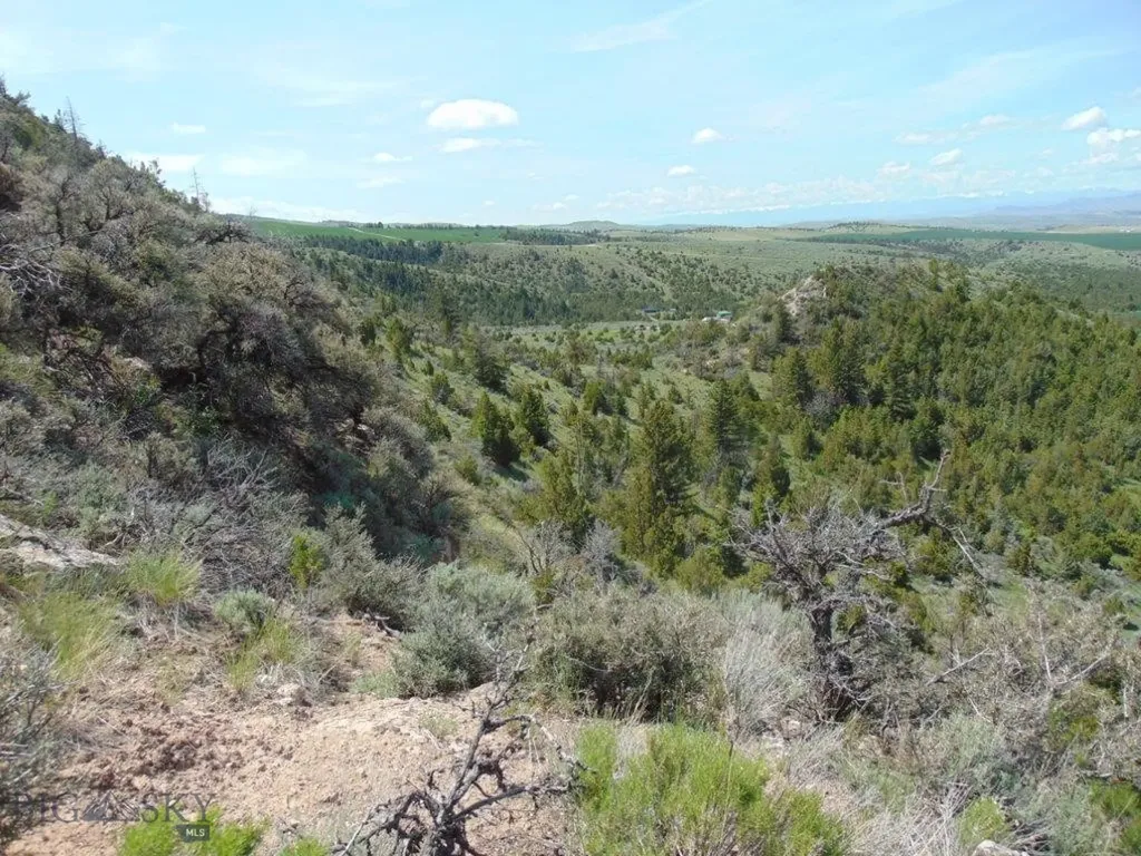 Tbd Lone Wolf Trail Three Forks MT 59752