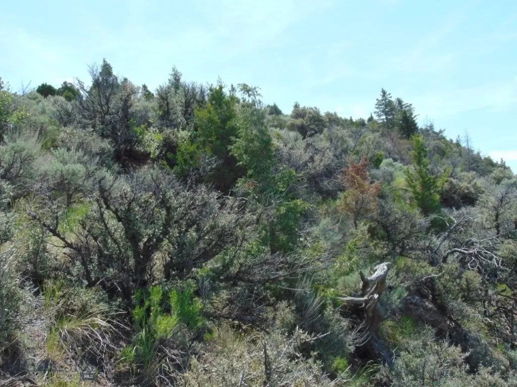 Tbd Lone Wolf Trail Three Forks MT 59752