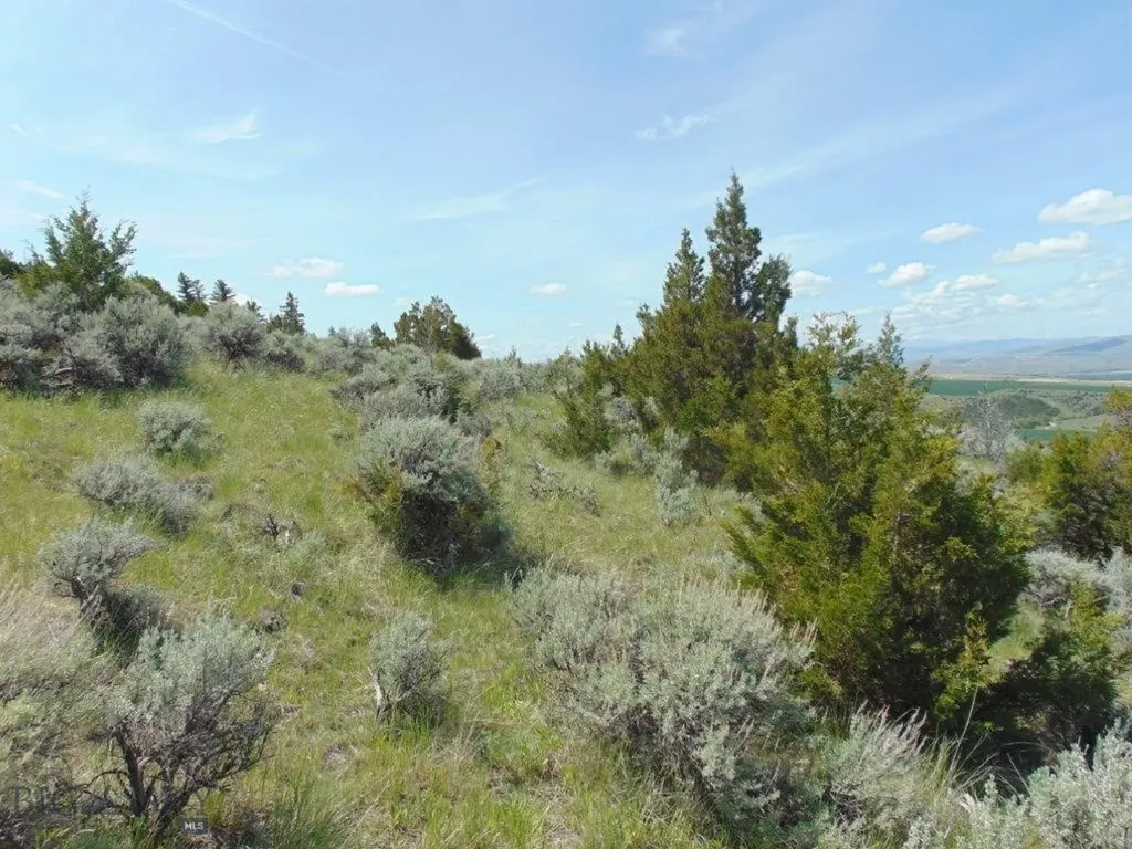 Tbd Lone Wolf Trail Three Forks MT 59752