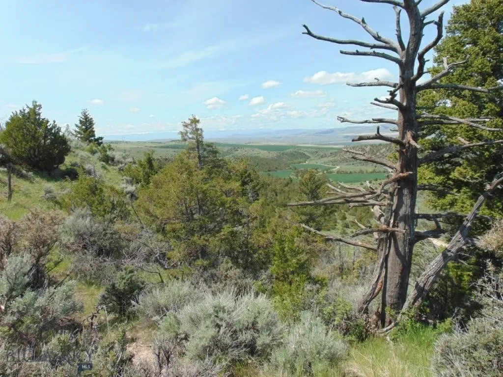 Tbd Lone Wolf Trail Three Forks MT 59752