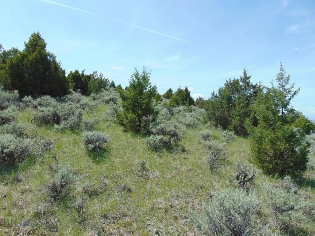 Tbd Lone Wolf Trail Three Forks MT 59752