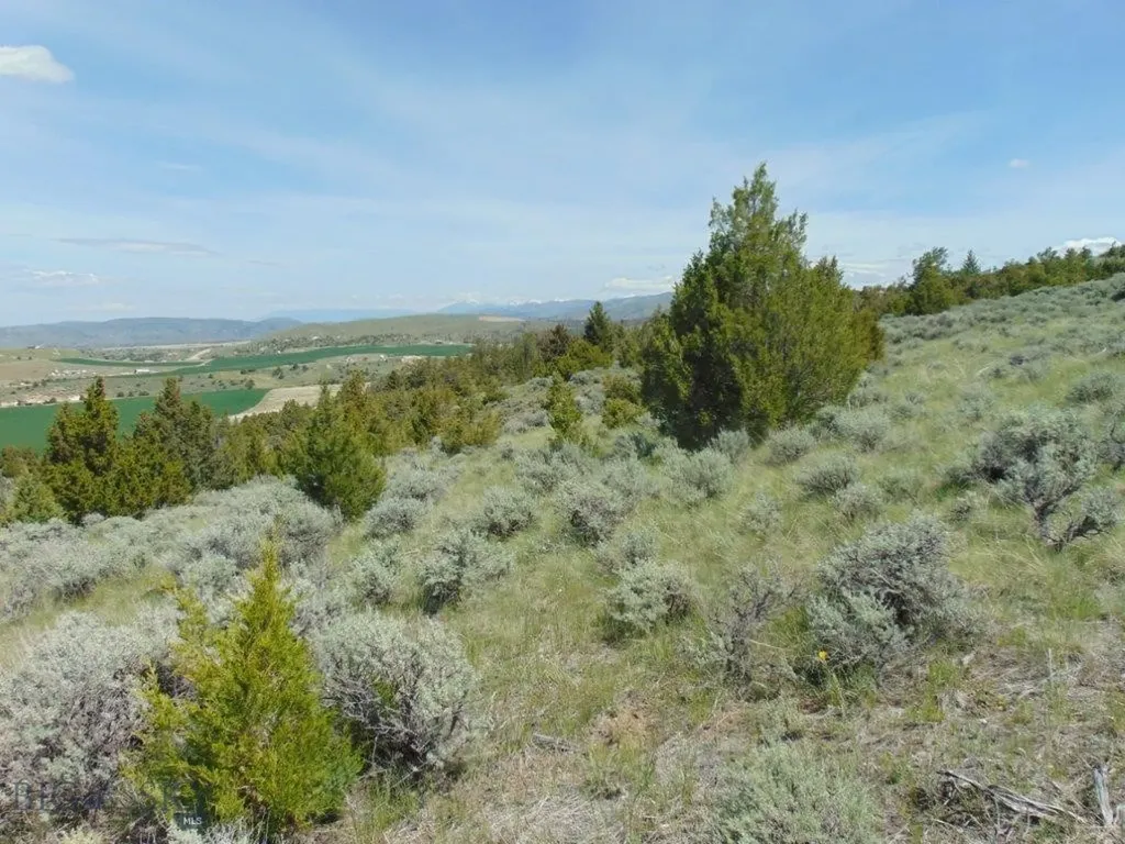Tbd Lone Wolf Trail Three Forks MT 59752