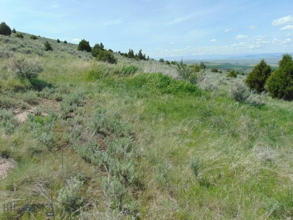 Tbd Lone Wolf Trail Three Forks MT 59752
