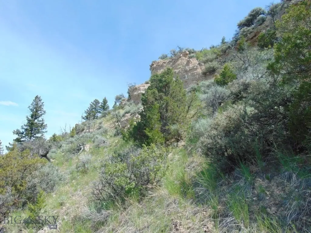 Tbd Lone Wolf Trail Three Forks MT 59752