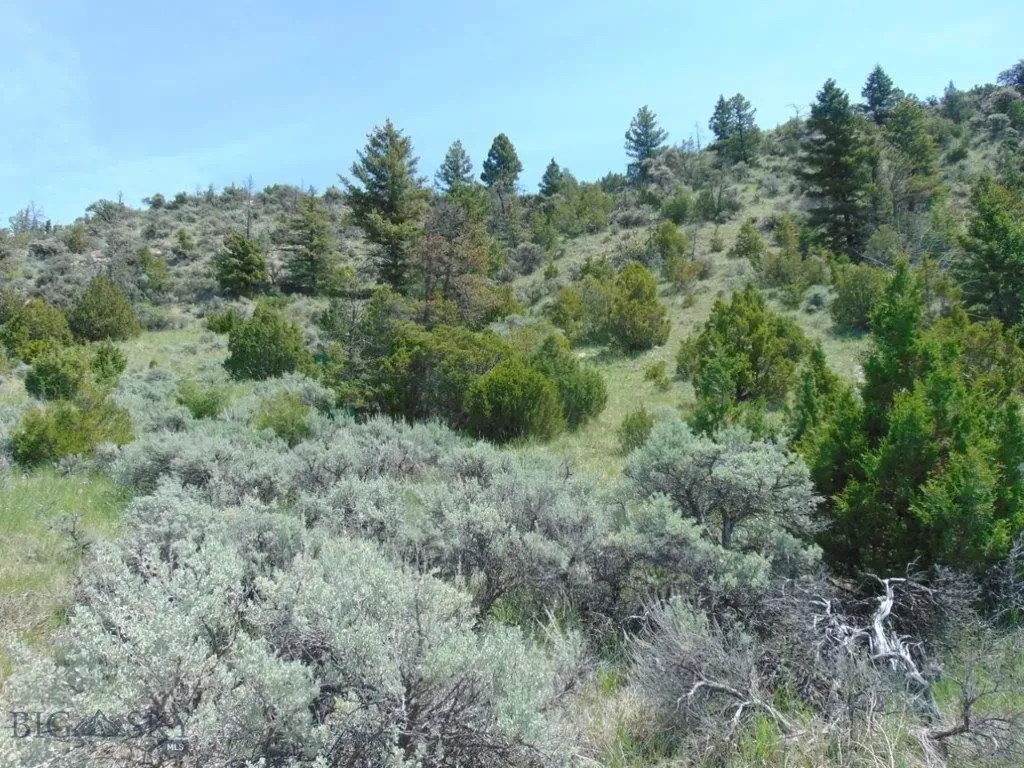 Tbd Lone Wolf Trail Three Forks MT 59752