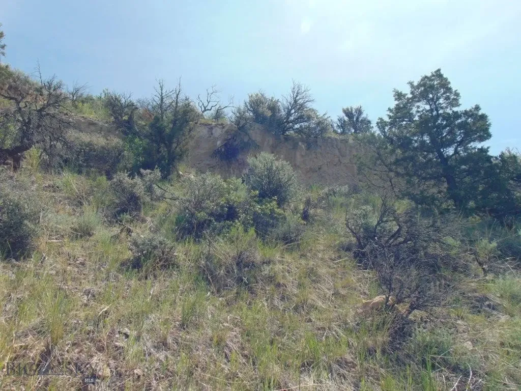 Tbd Lone Wolf Trail Three Forks MT 59752