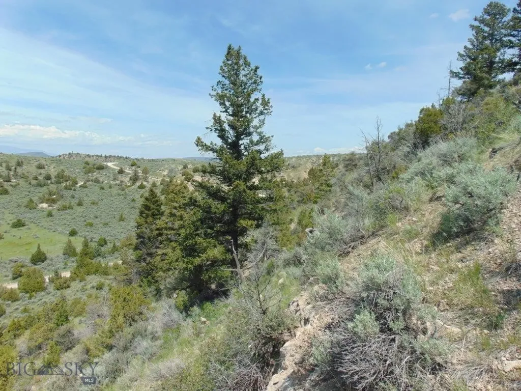 Tbd Lone Wolf Trail Three Forks MT 59752