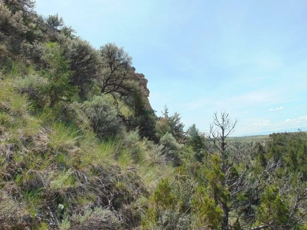 Tbd Lone Wolf Trail Three Forks MT 59752