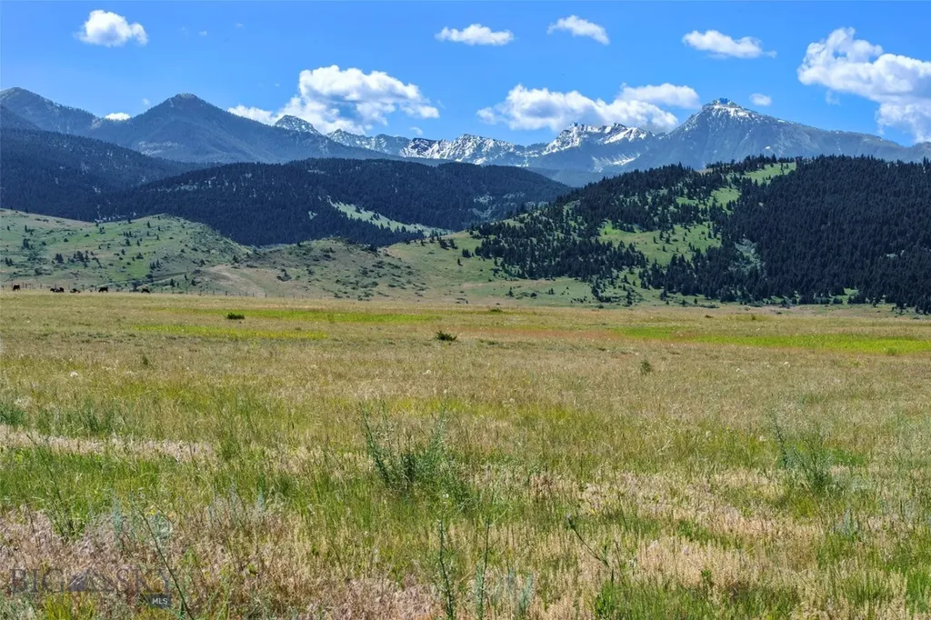 19 Myers Livingston MT 59047
