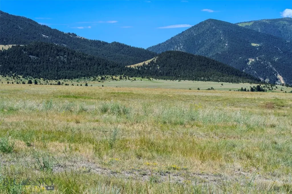 19 Myers Livingston MT 59047