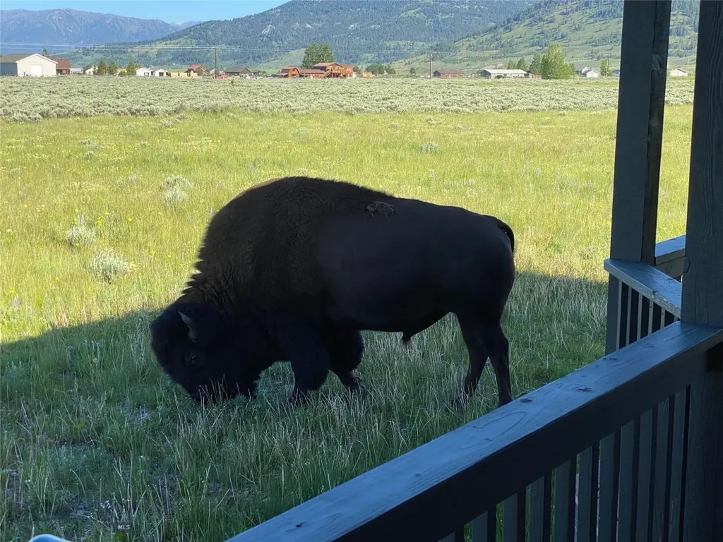 285 Catfish Lane West Yellowstone MT 59758