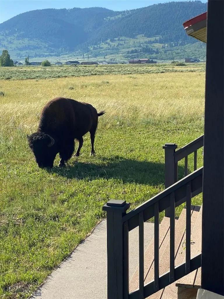 285 Catfish Lane West Yellowstone MT 59758