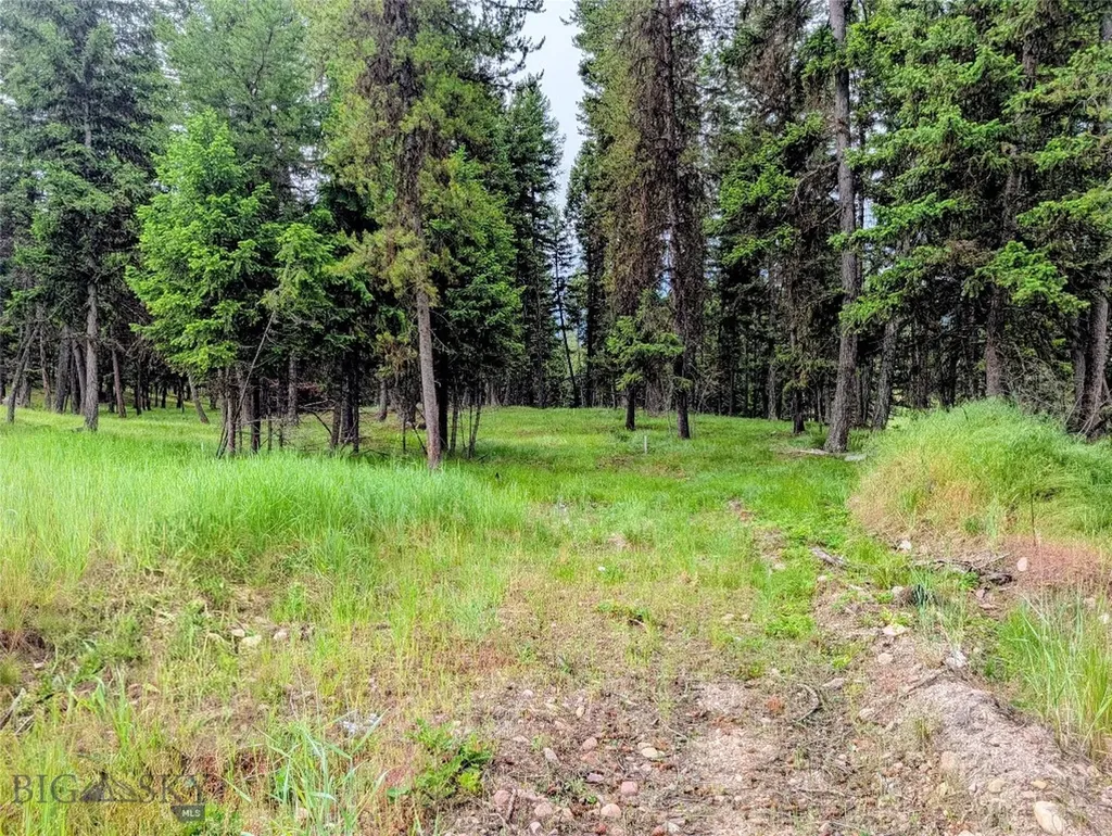 304 Seclusion Seeley Lake MT 59868
