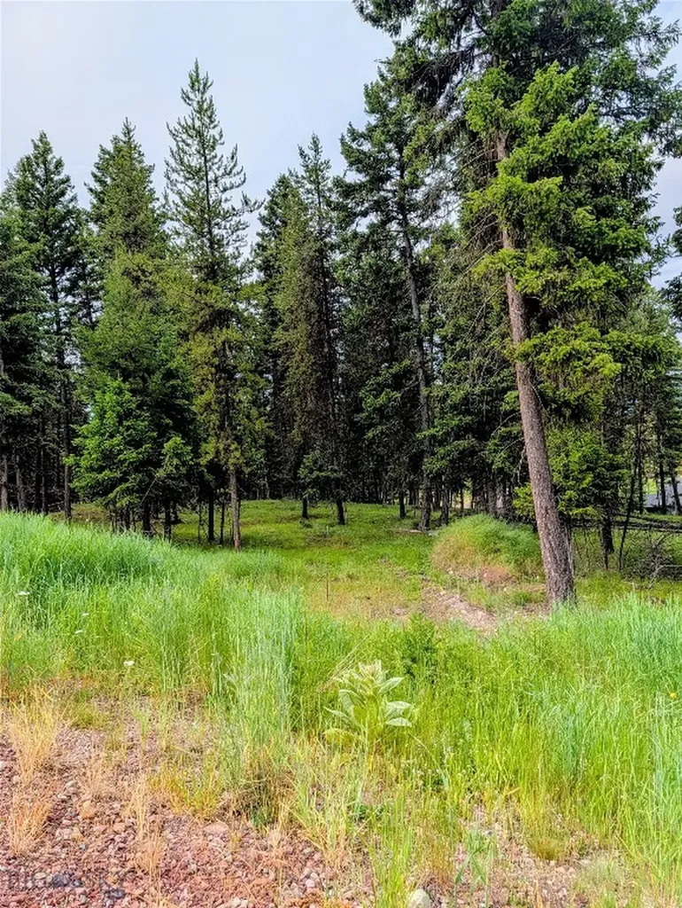 304 Seclusion Seeley Lake MT 59868