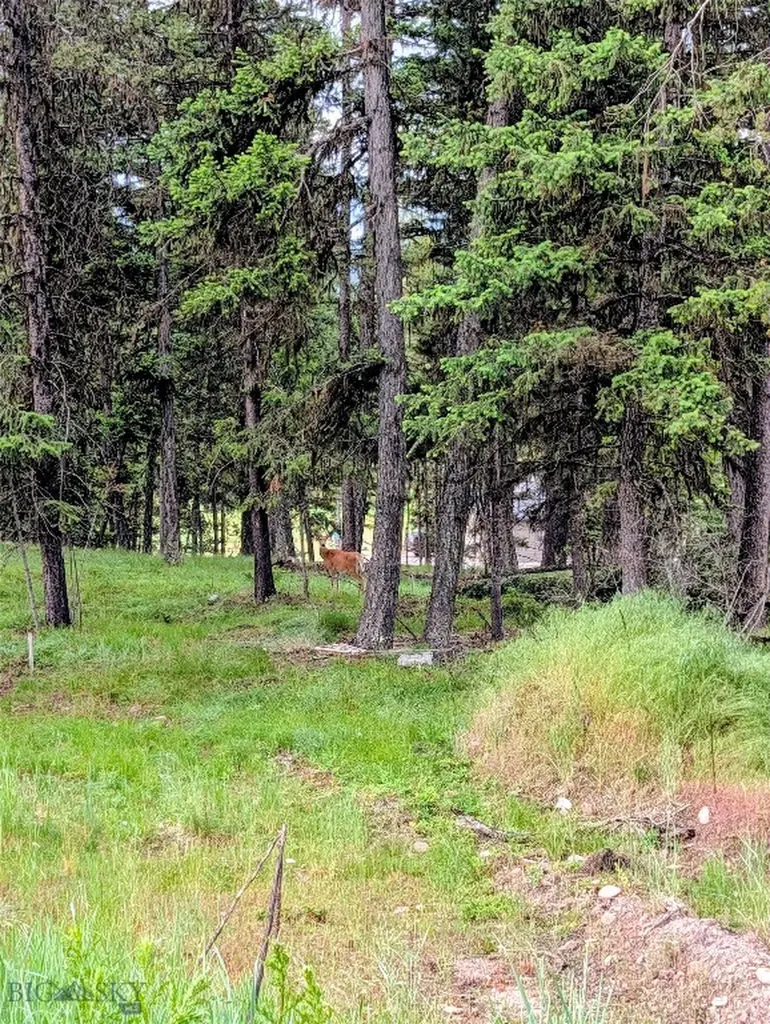 304 Seclusion Seeley Lake MT 59868