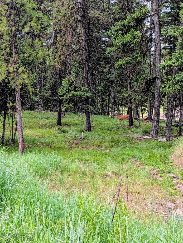 304 Seclusion Seeley Lake MT 59868