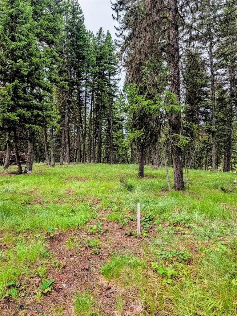 304 Seclusion Seeley Lake MT 59868