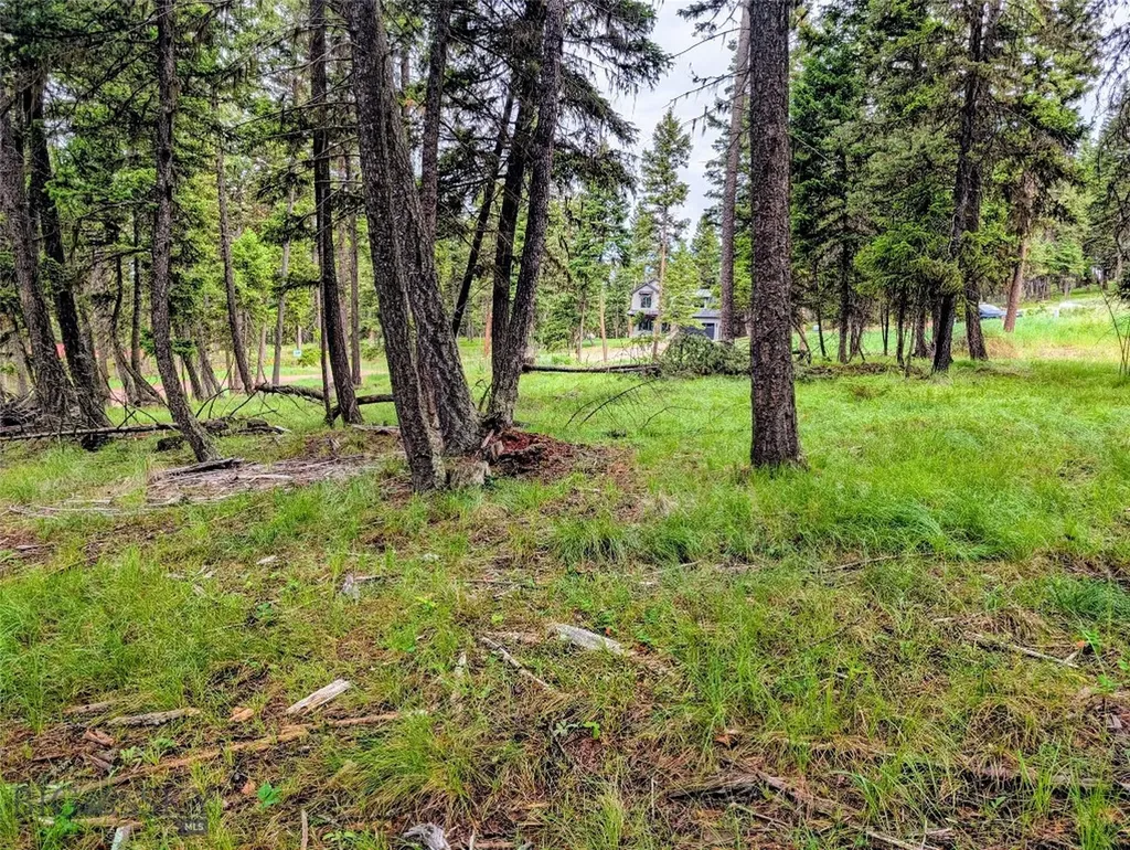 304 Seclusion Seeley Lake MT 59868