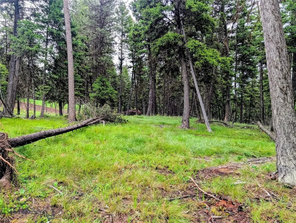 304 Seclusion Seeley Lake MT 59868
