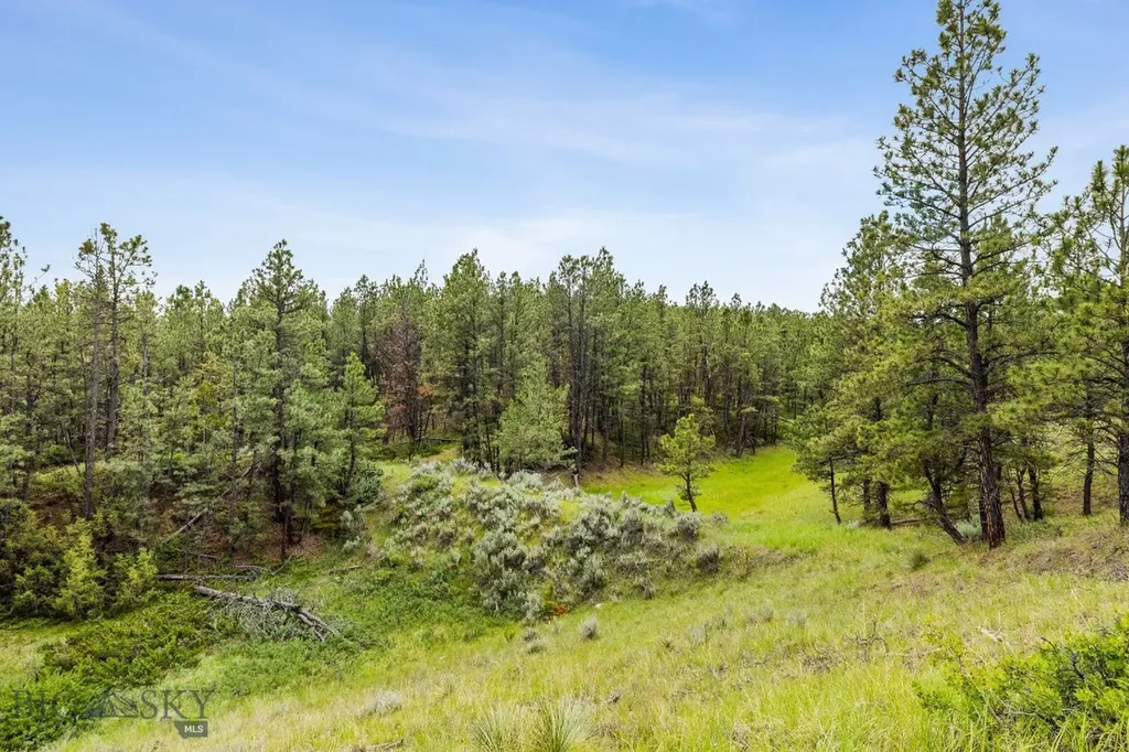 2920 79 Trail Roy MT 59471