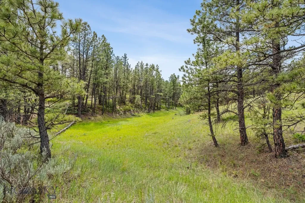 2920 79 Trail Roy MT 59471