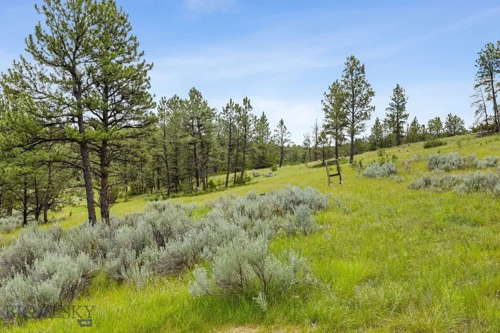 2920 79 Trail Roy MT 59471