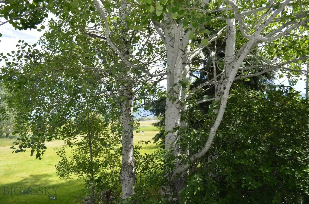545 Mary Road Bozeman MT 59718