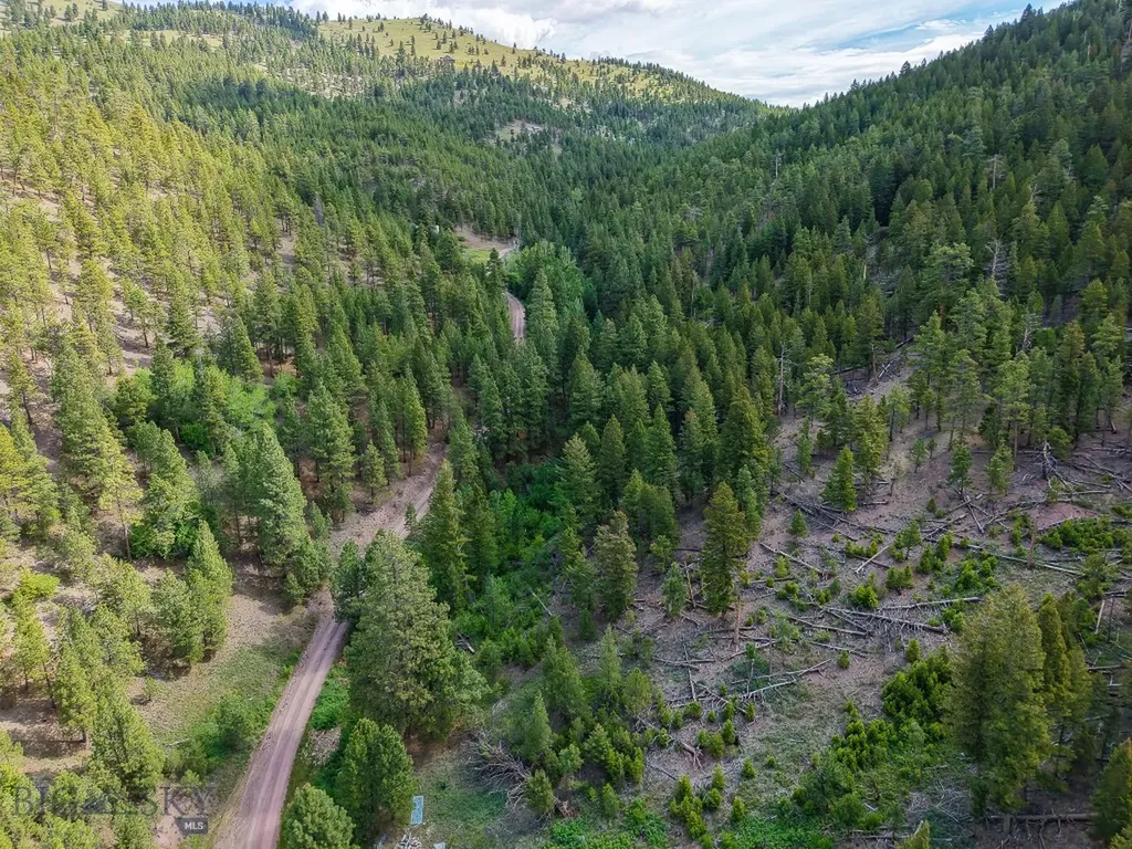 2270 Lynx Trail Drive Wolf Creek MT 59648
