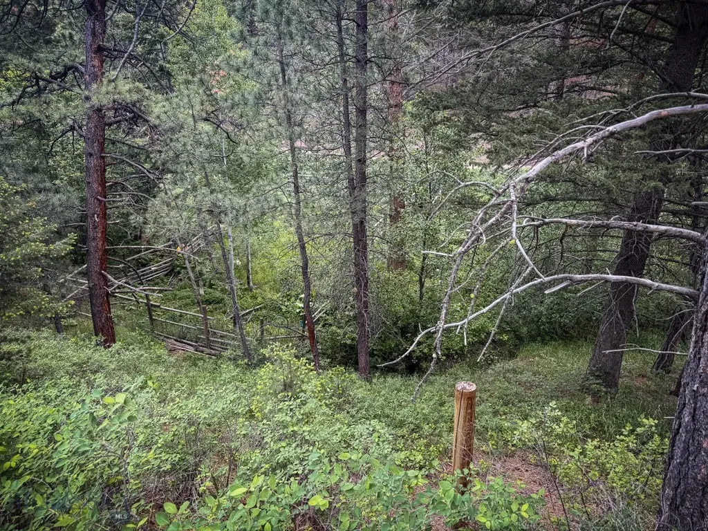 2270 Lynx Trail Drive Wolf Creek MT 59648