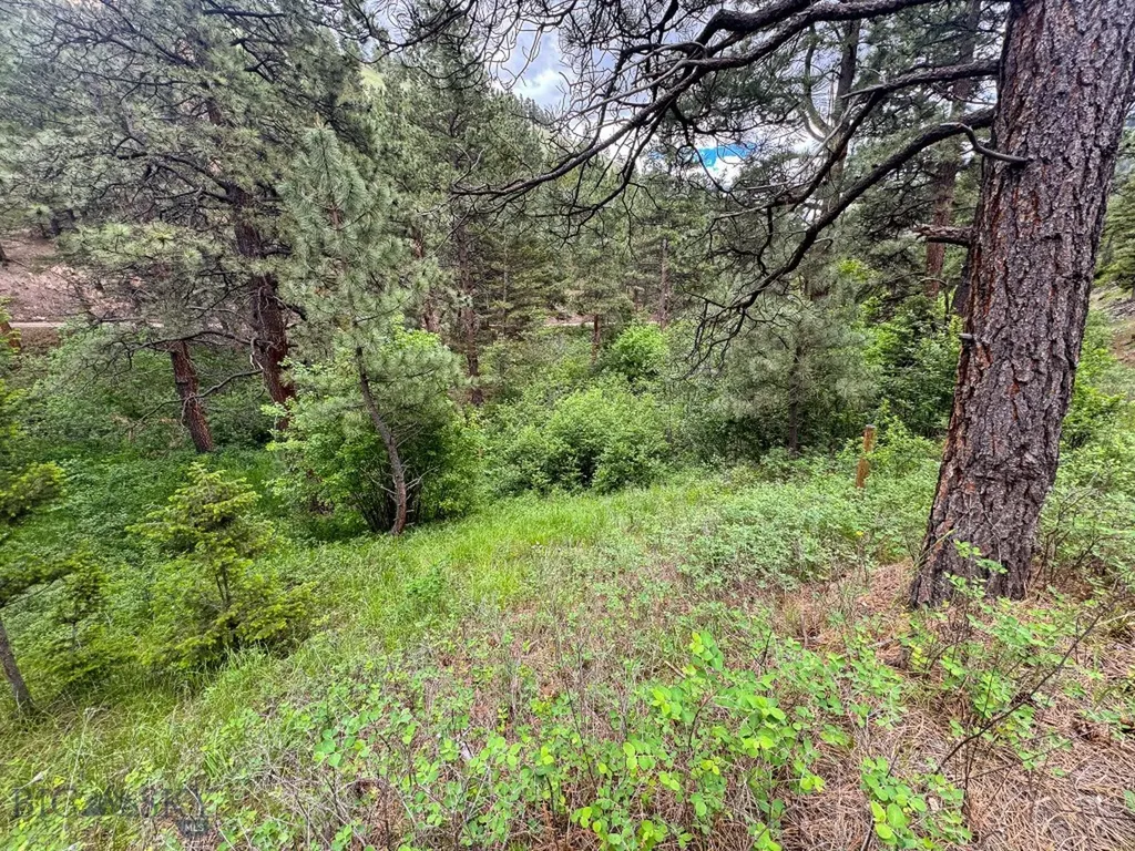 2270 Lynx Trail Drive Wolf Creek MT 59648
