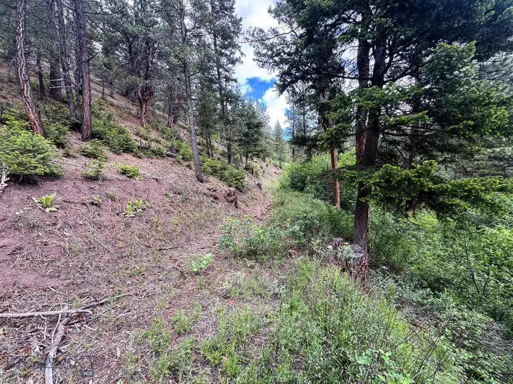 2270 Lynx Trail Drive Wolf Creek MT 59648