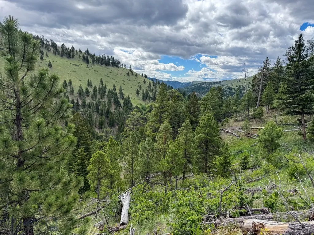 2270 Lynx Trail Drive Wolf Creek MT 59648