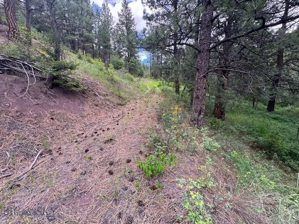 2270 Lynx Trail Drive Wolf Creek MT 59648