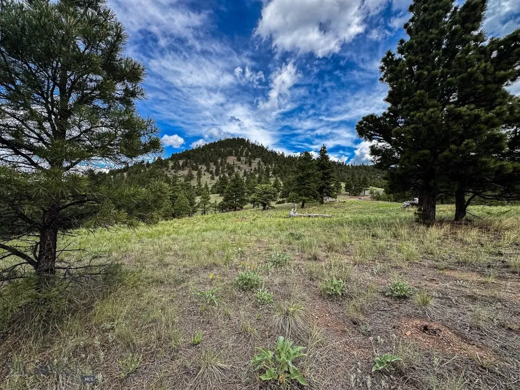 2270 Lynx Trail Drive Wolf Creek MT 59648