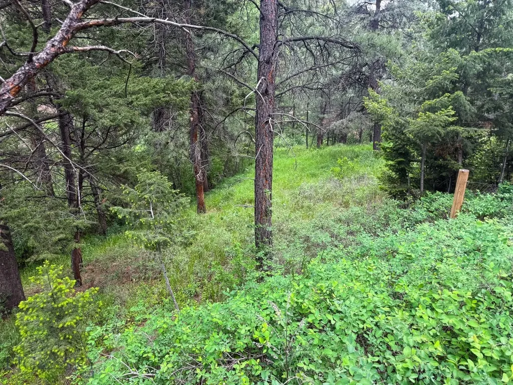2270 Lynx Trail Drive Wolf Creek MT 59648