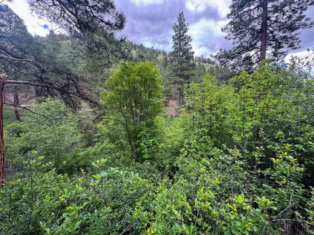2270 Lynx Trail Drive Wolf Creek MT 59648