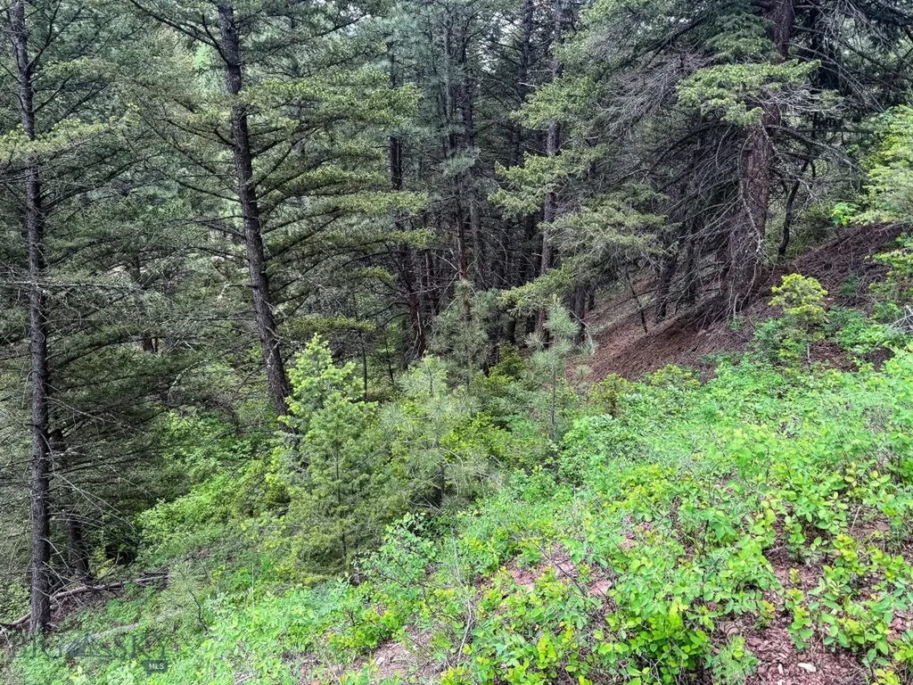 2270 Lynx Trail Drive Wolf Creek MT 59648