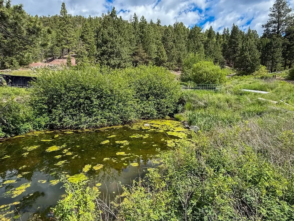 2270 Lynx Trail Drive Wolf Creek MT 59648