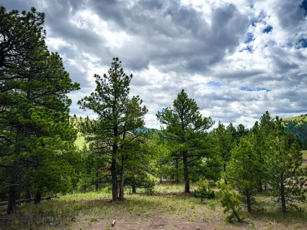 2270 Lynx Trail Drive Wolf Creek MT 59648