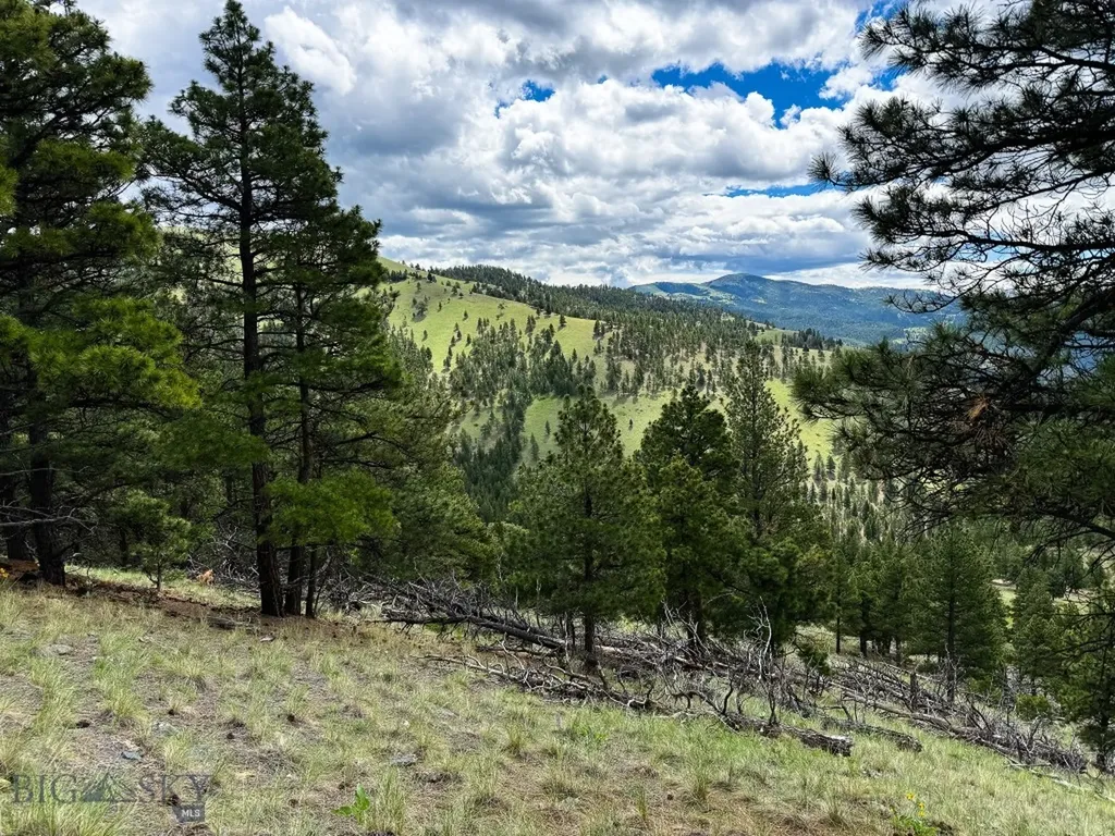 2270 Lynx Trail Drive Wolf Creek MT 59648
