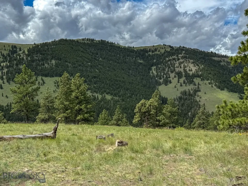 2270 Lynx Trail Drive Wolf Creek MT 59648