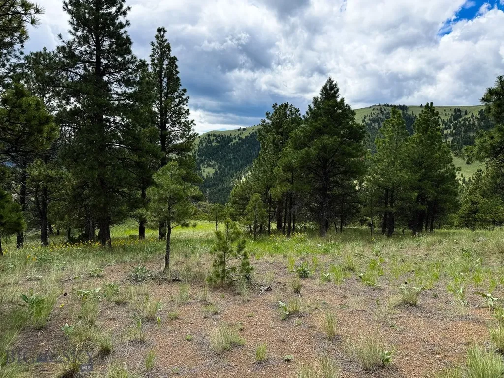 2270 Lynx Trail Drive Wolf Creek MT 59648