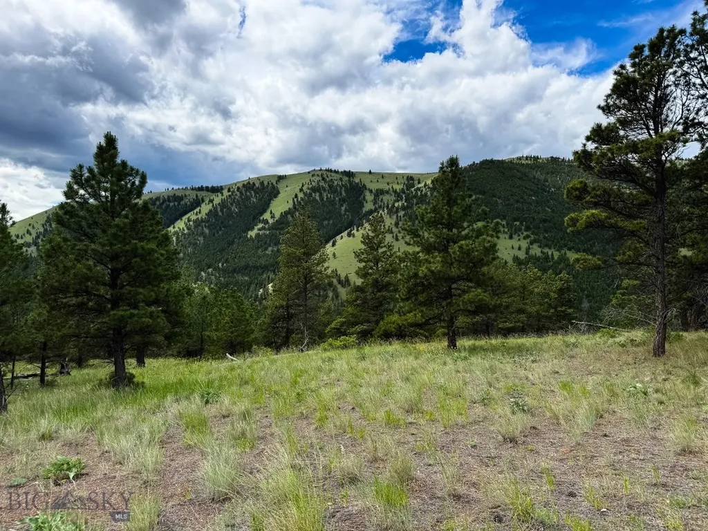 2270 Lynx Trail Drive Wolf Creek MT 59648